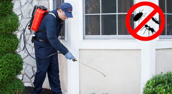 Kocaeli Fare İlaçlama böcek ilaçlama ve haşere kontrolü — ilaclama-tr.com
